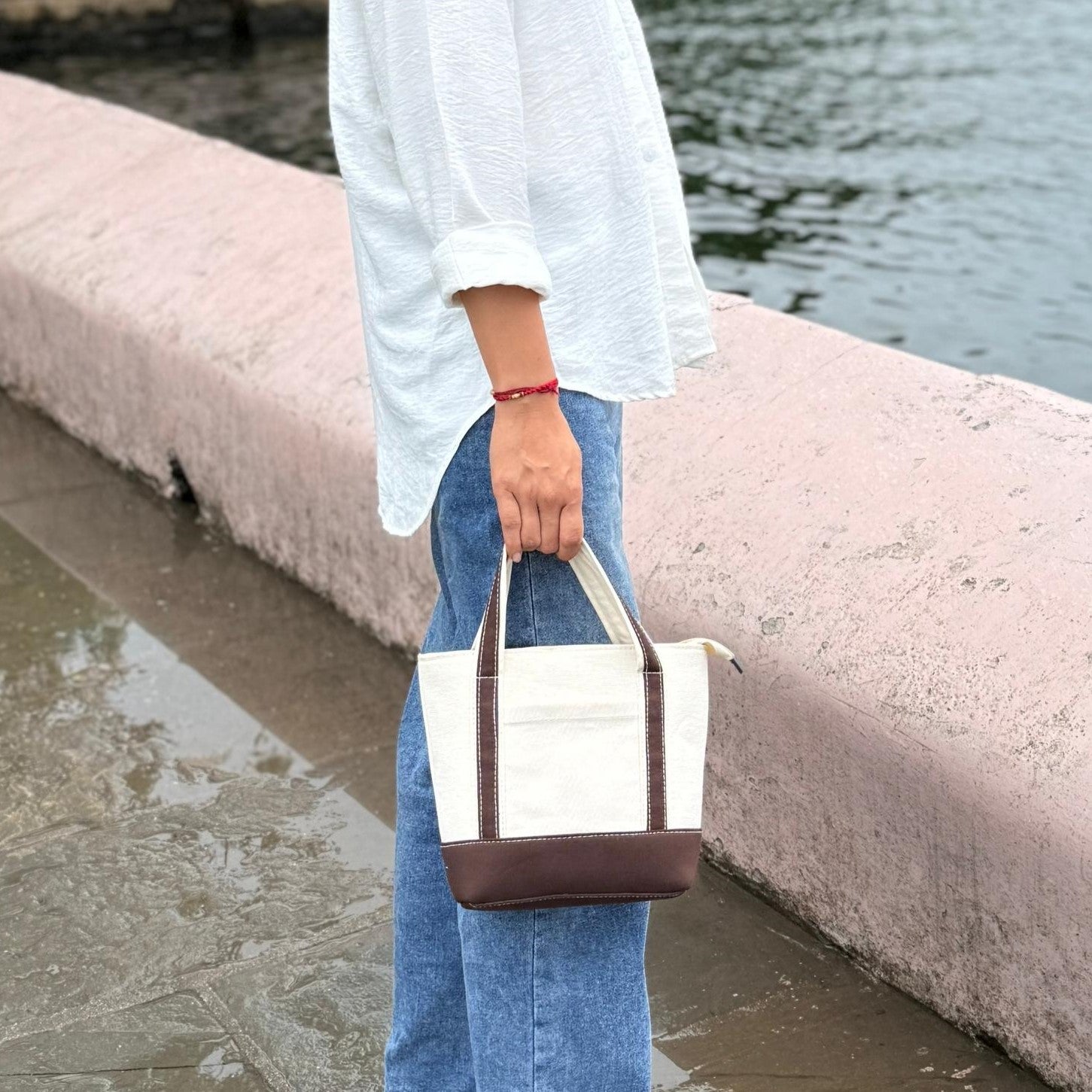 Brown Classic Women Handbag - Mini